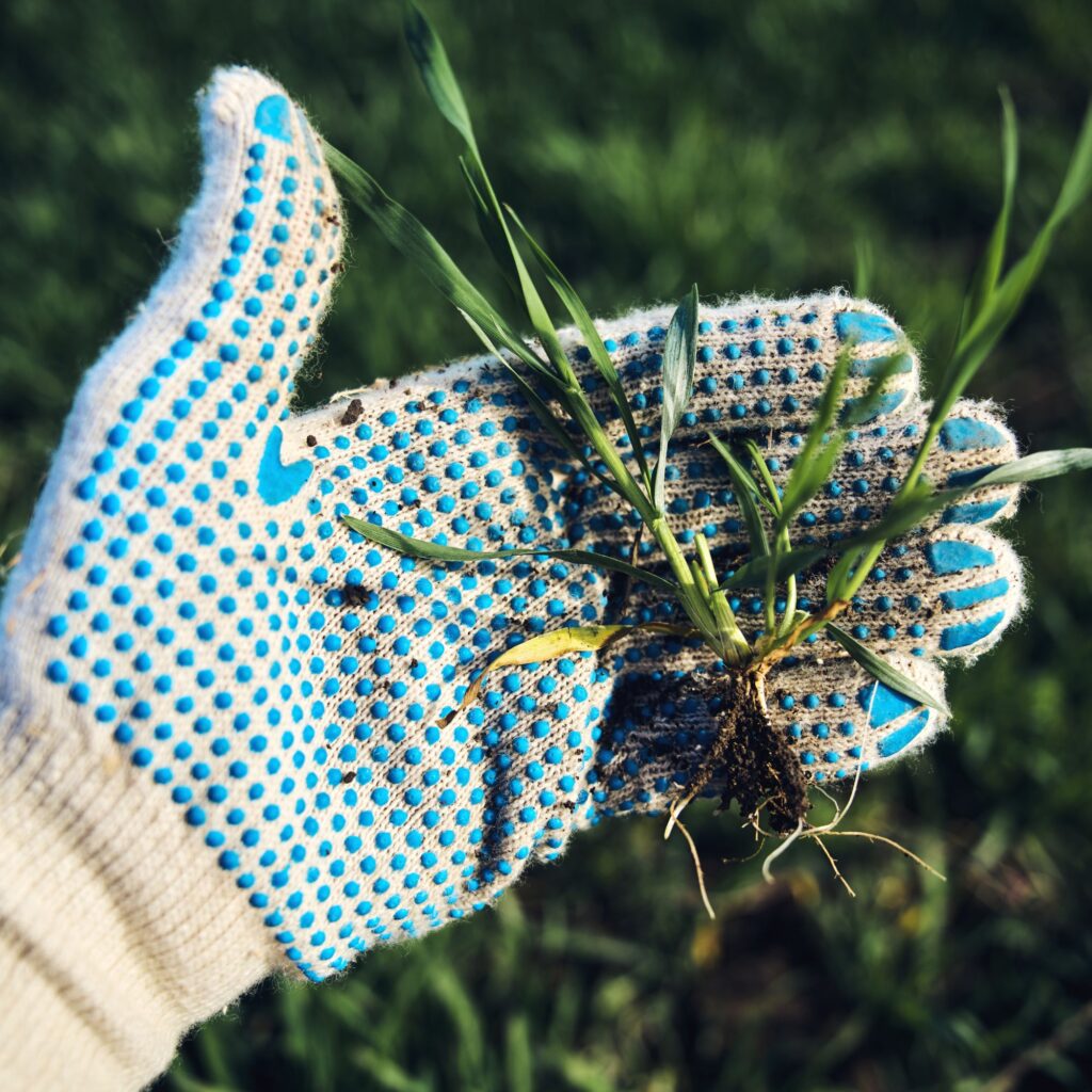 guantes para jardineria en a guarda