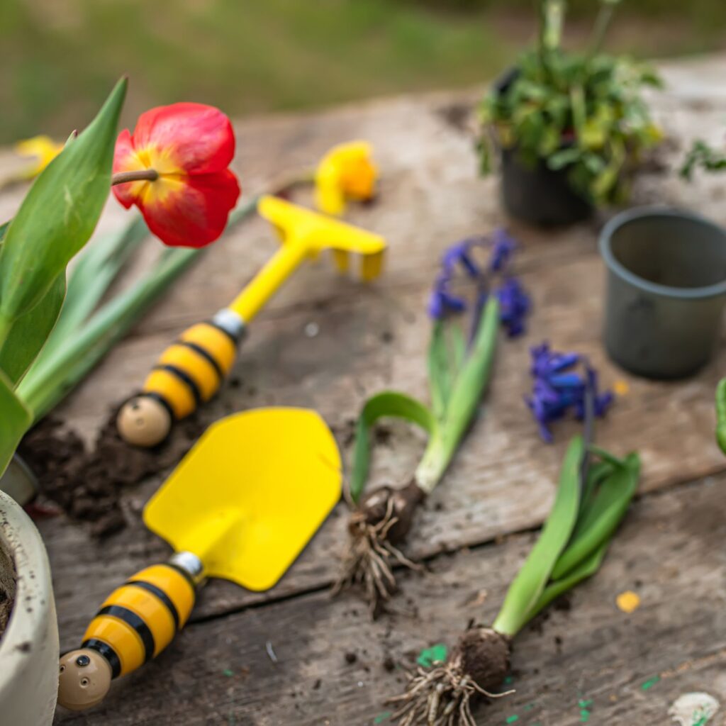 herramientas para jardin en a guarda